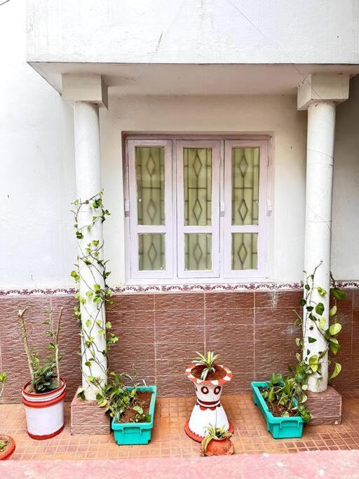 Gauranga Kutir-A Spiritual Villa Retreat 布巴内什瓦尔 外观 照片